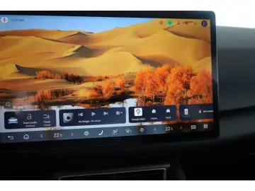 BYD ATTO 2 DM-i Boost