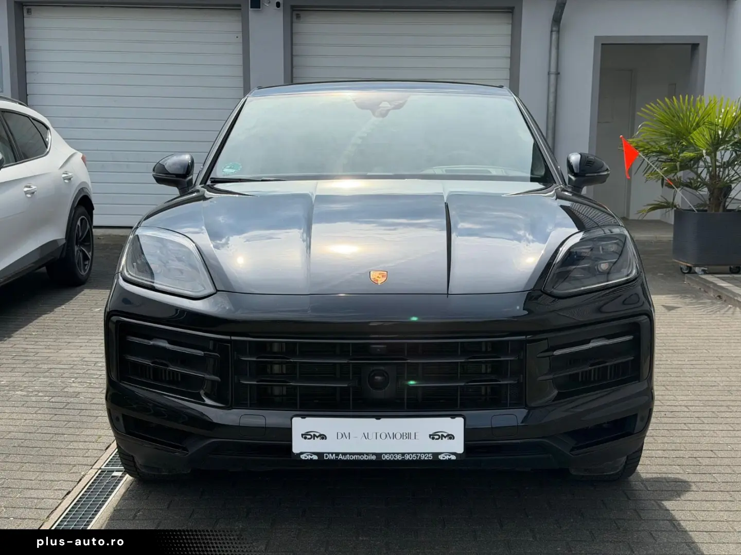 PORSCHE S E-Hybrid display pasager