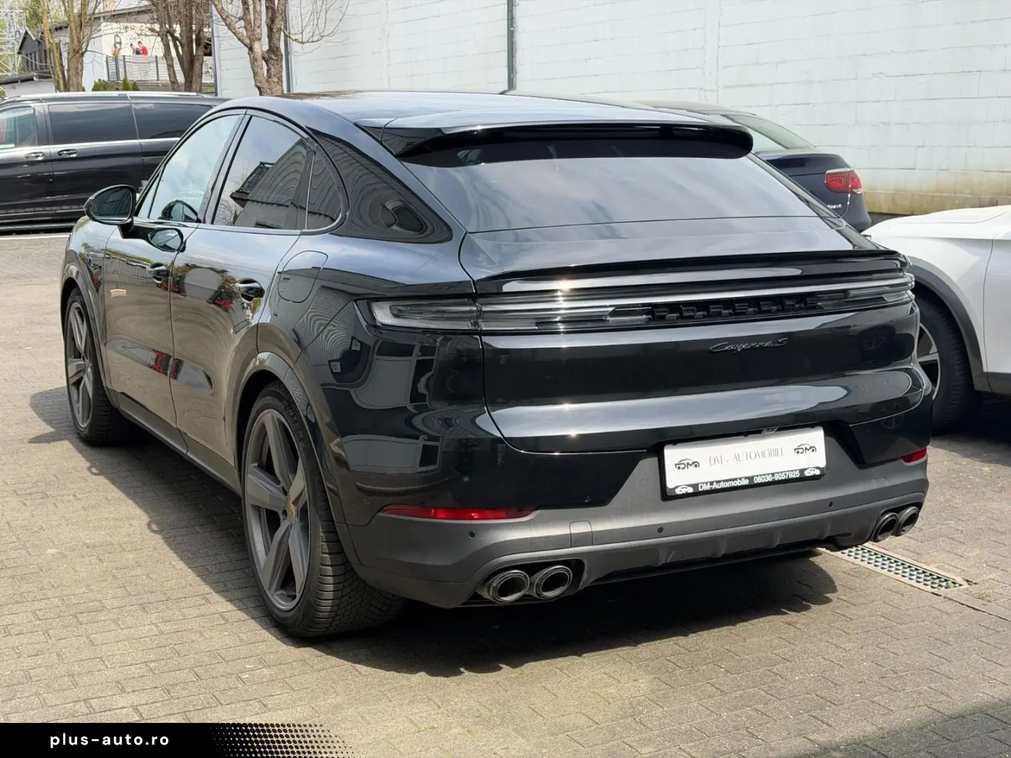 PORSCHE S E-Hybrid display pasager