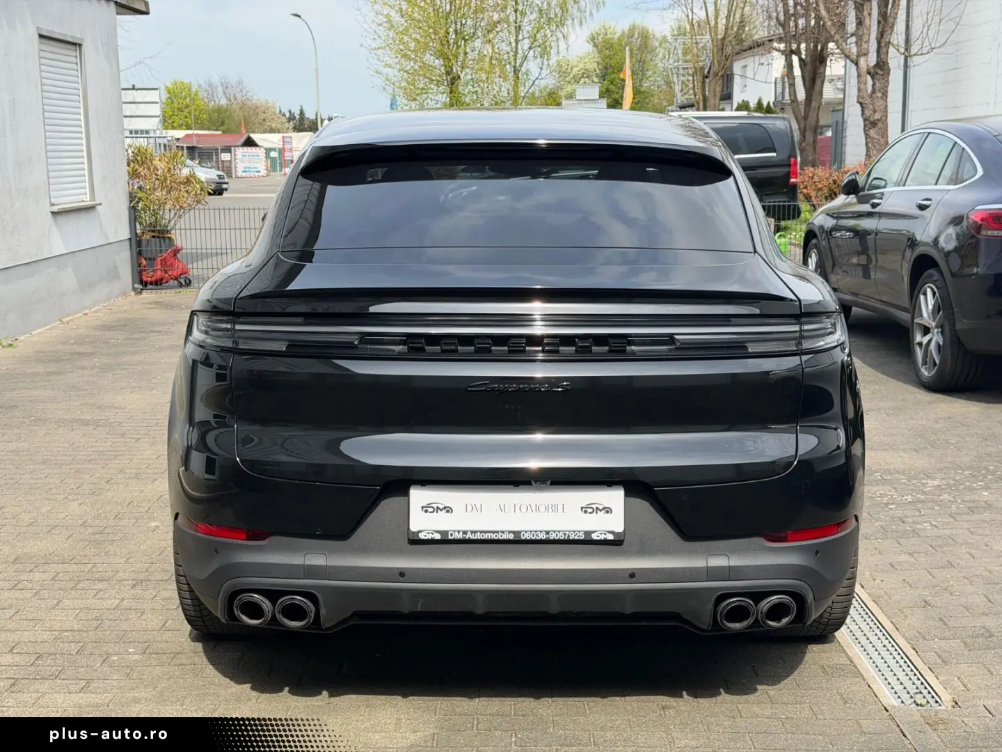 PORSCHE S E-Hybrid display pasager