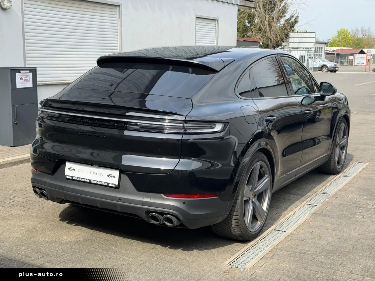 PORSCHE S E-Hybrid display pasager