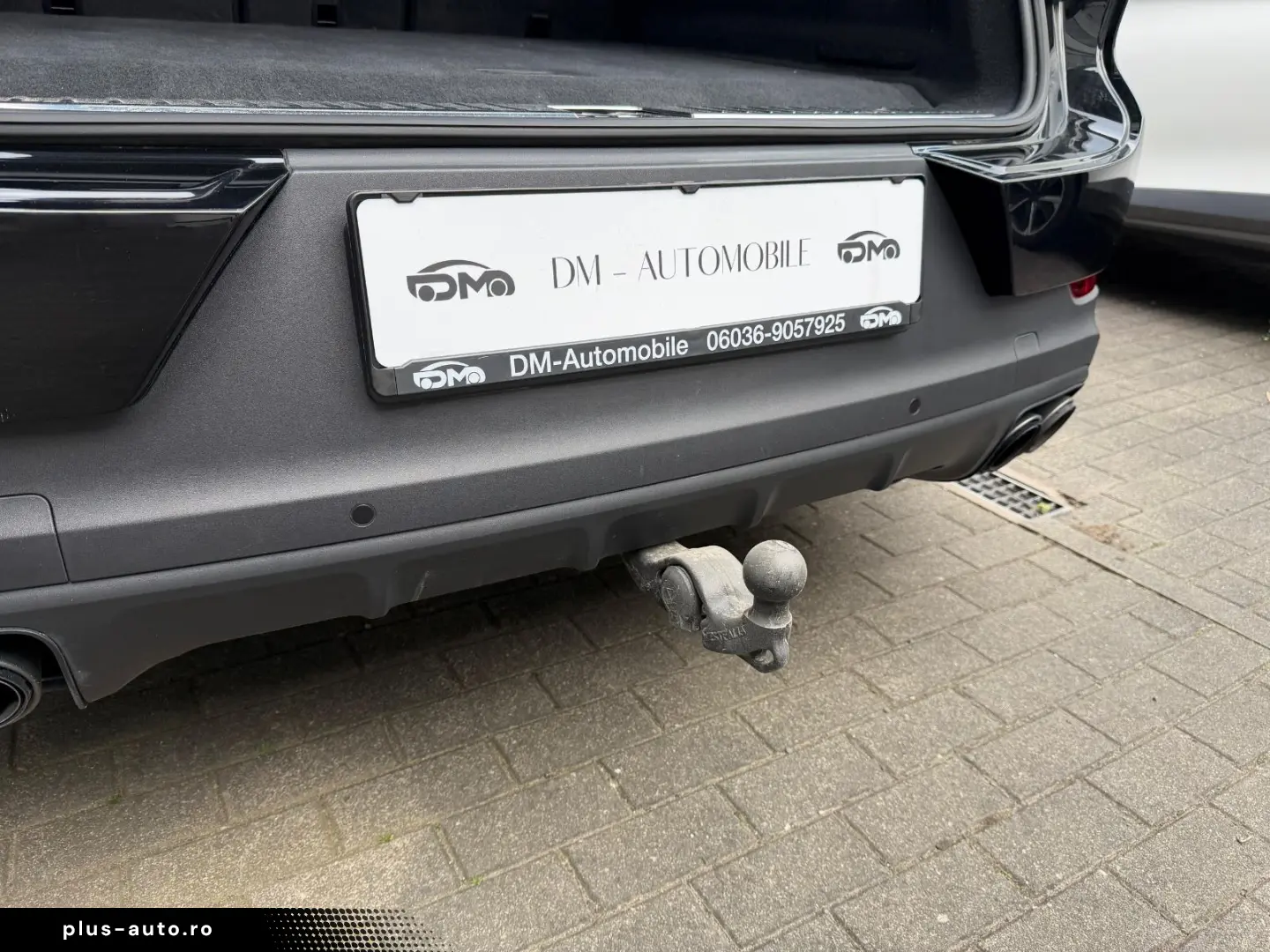 PORSCHE S E-Hybrid display pasager