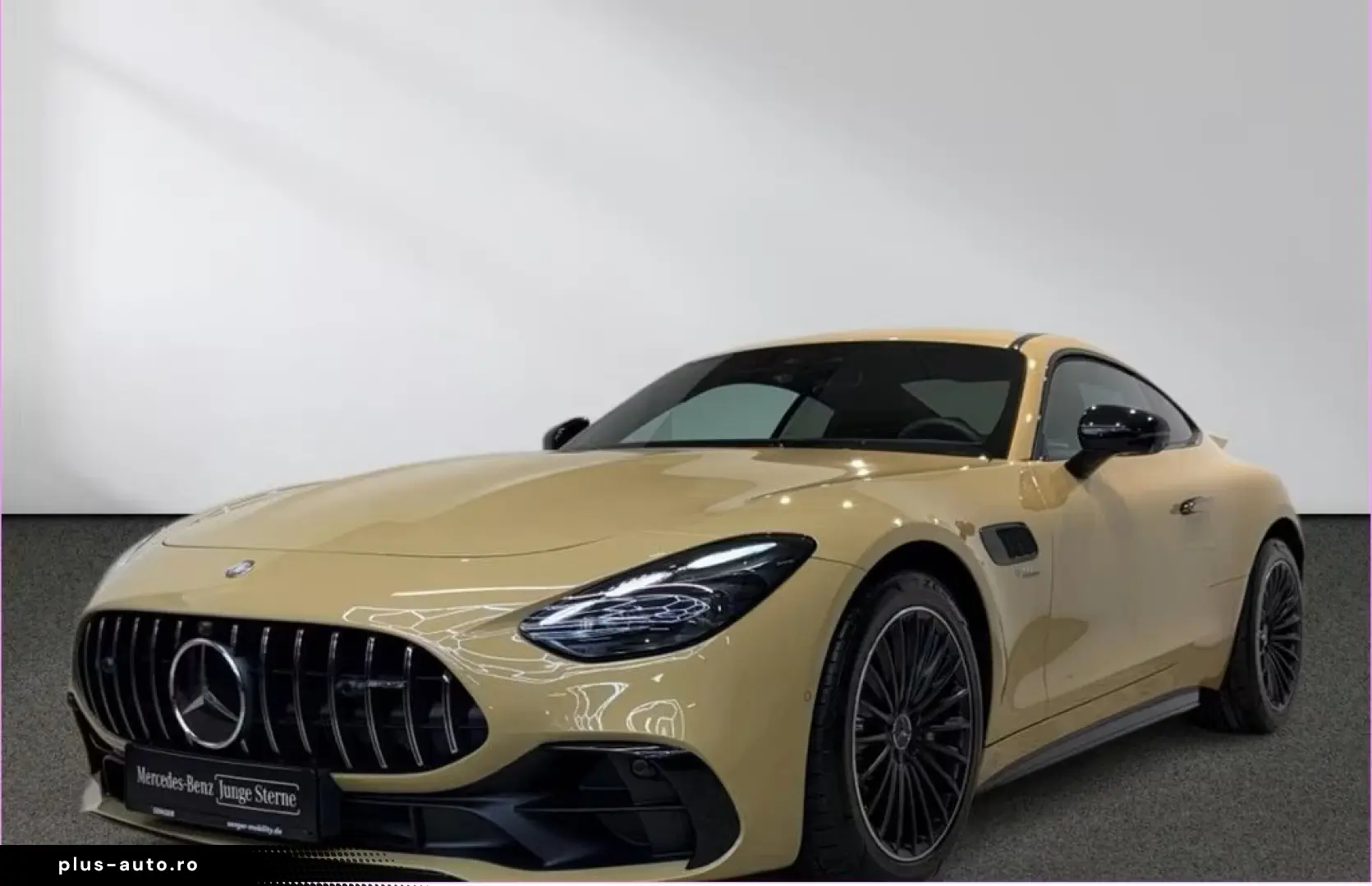 MERCEDES-BENZ AMG GT 43 Premium Night Perf.-Sitze Burmester