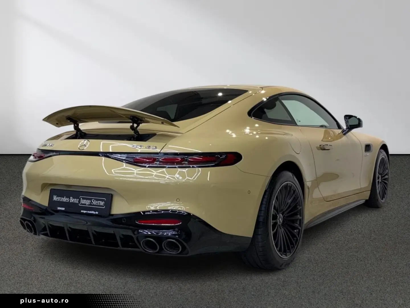 MERCEDES-BENZ AMG GT 43 Premium Night Perf.-Sitze Burmester