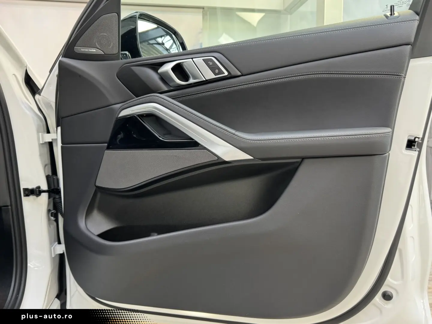BMW X6 xDrive30d M Sport Pro AHK Pano Sitzlüft. ACC