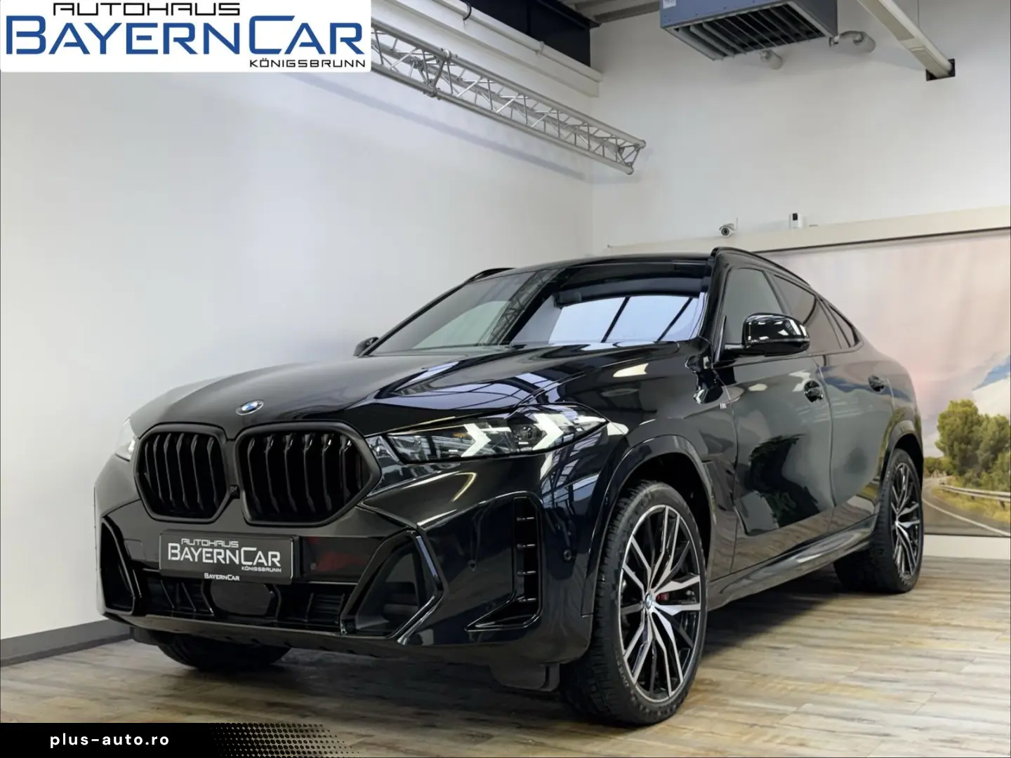 BMW X6 xDr30d M Sport Pro ACC 360 Pano H&K 22Zoll