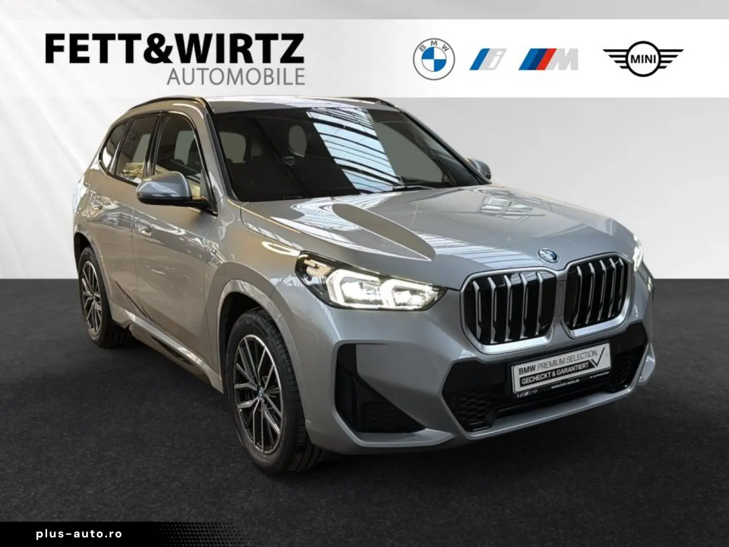 BMW X1 xDrive25e M Sportpaket DA  Parkass. 18 LMR