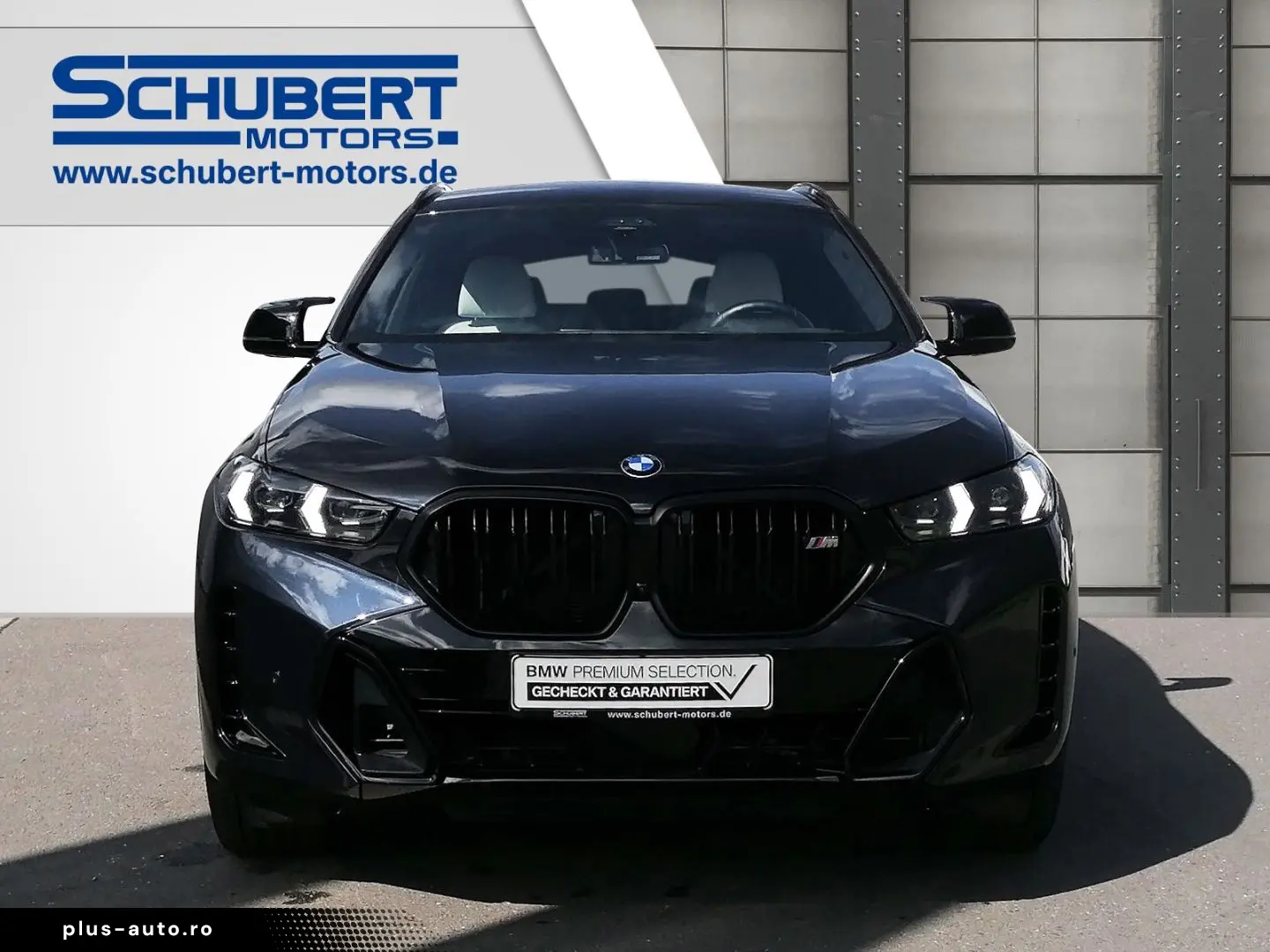 BMW X6 M60 xDrive M Sportpaket Pro HuD AHK Carbon