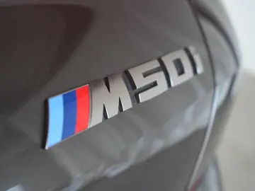 BMW X6 M50 i Leder ACC Kamera HUD H&K Virtual Side