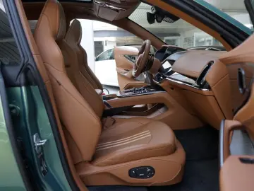 ASTON MARTIN DBX707   Carbonpaket   Copper Bronze   Monotone