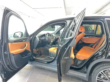 BMW X3 xD 30e DAB Park Plus LED mit Kurvenlicht