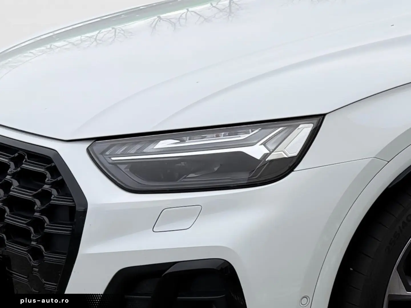 AUDI SQ5 Sportback MATRIX OLED HEAD STANDHEI CARBON