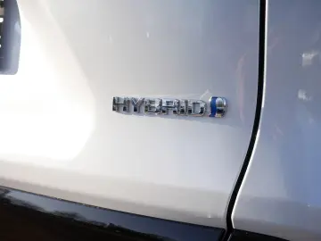 TOYOTA RAV 4 2.5 Hybrid Style Piele  Camera NAVI ACC LED