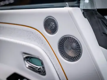 ROLLS ROYCE Black Badge Spectre PPF  Starlight  Bespoke