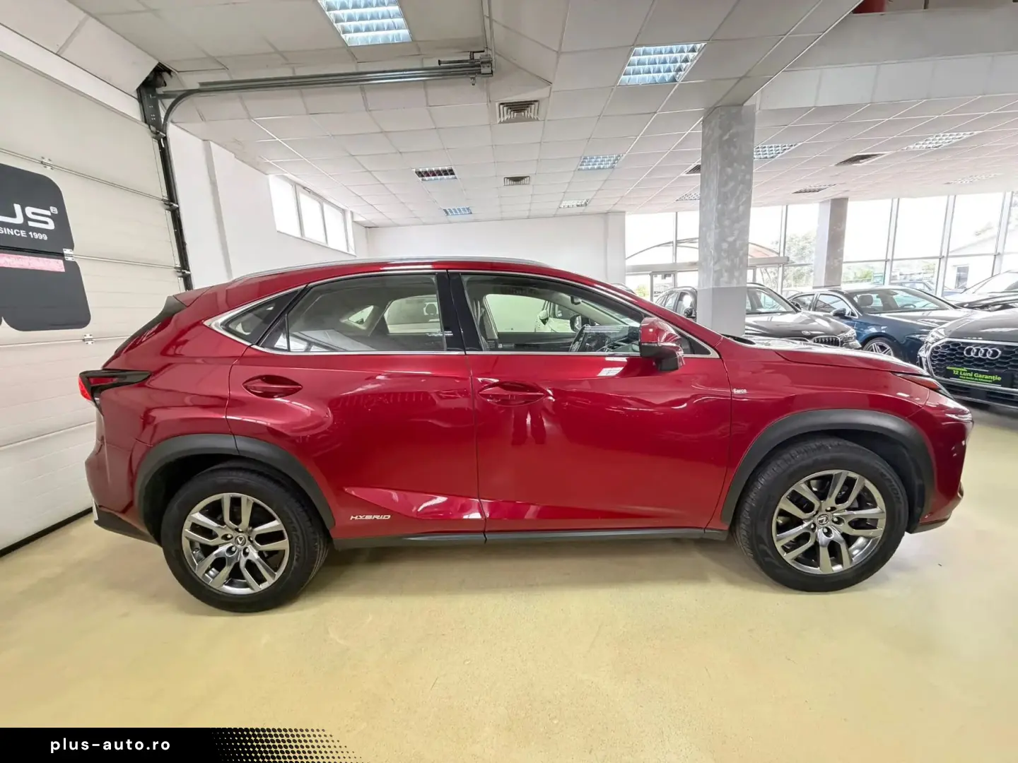 Lexus Serianx