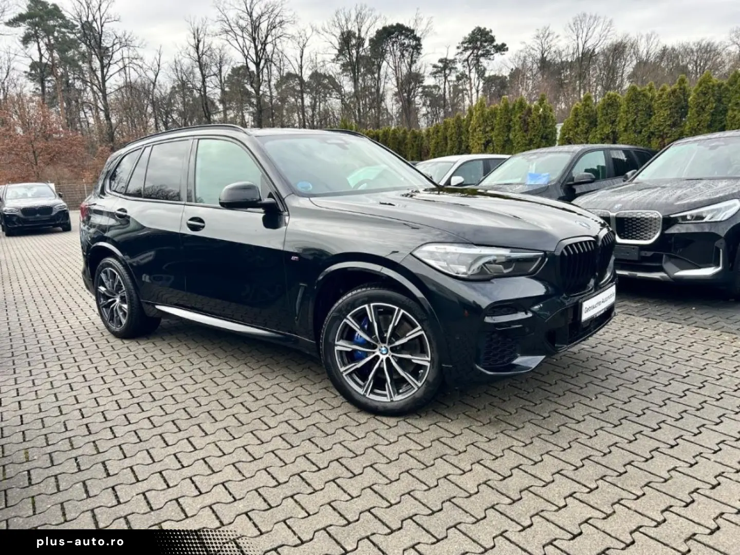 BMW X5 xDrive 30d M-Sport H&K HUD Driv.Assis.Prof.AH