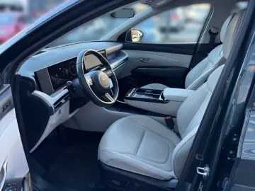 HYUNDAI TUCSON HEV 1.6l Prime Kamera KRELL SHZ LED