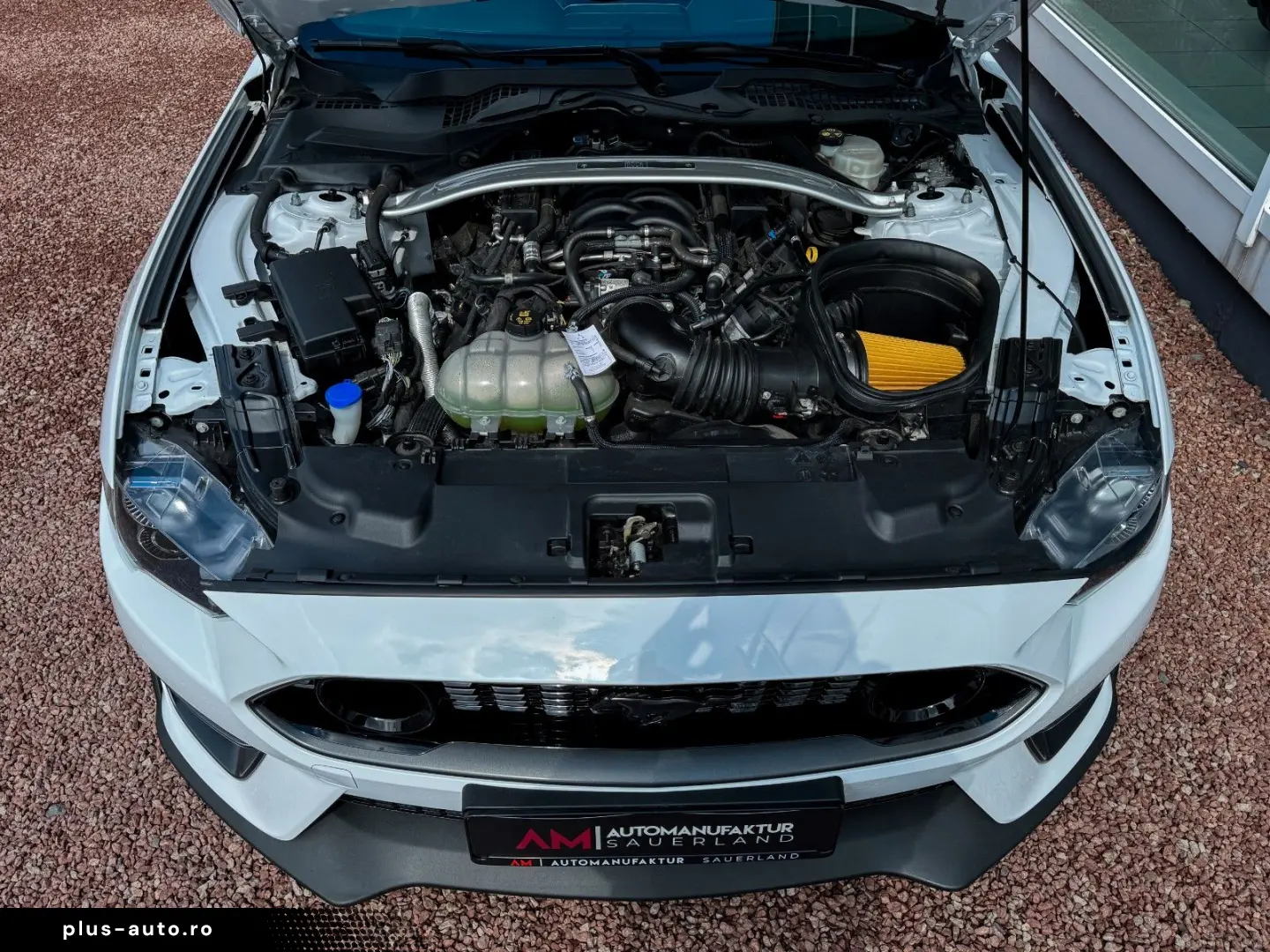 FORD Mustang Mach 1 5.0 V8 MagneRide B&O 1.Hand