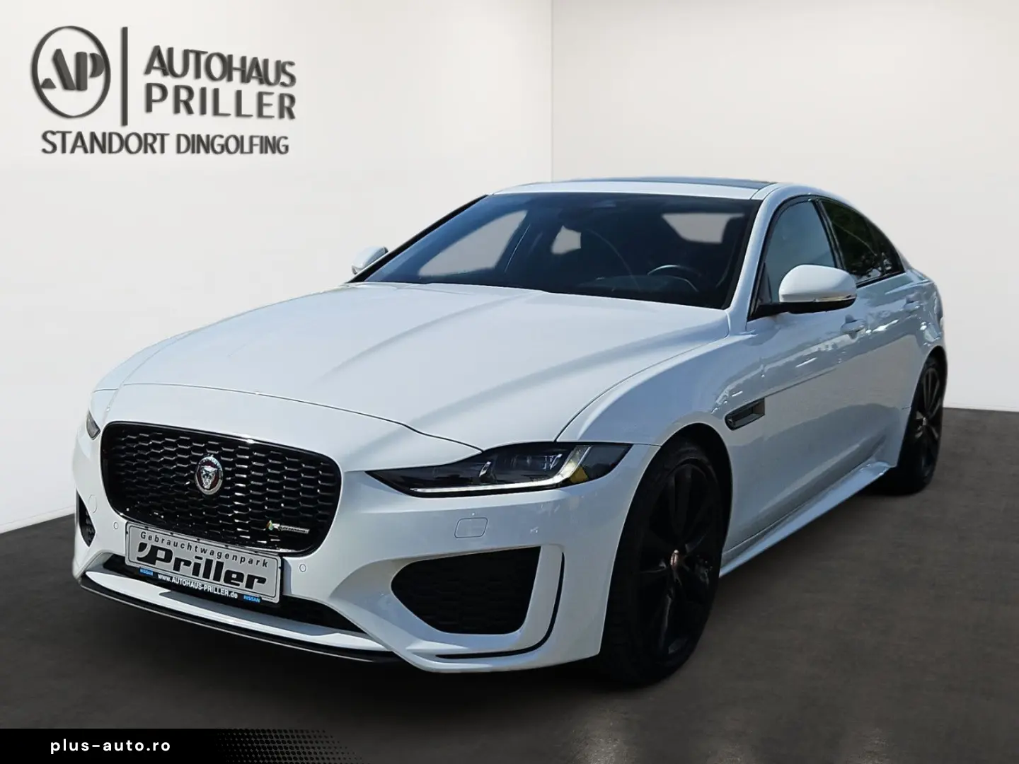 JAGUAR XE P250 R-Dynamic HSE Matrix-LED ACC Apple eGSD