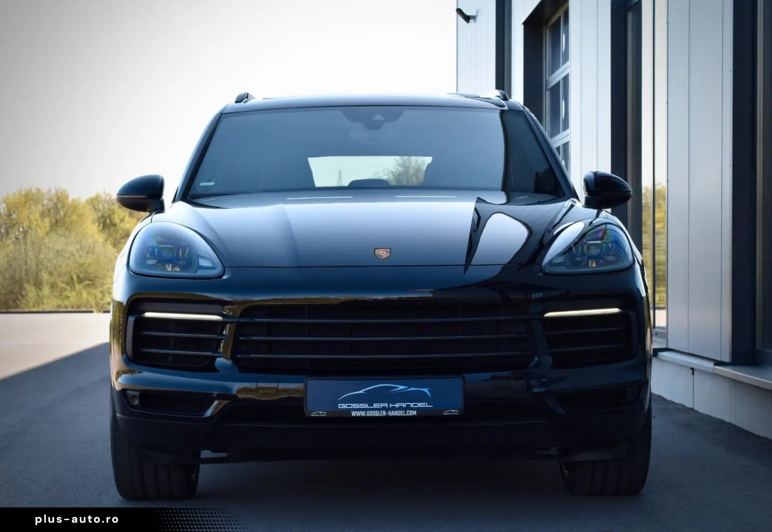 PORSCHE E-HYBRID PLATINUM EDITION PANO LUFT CHRONO AHK