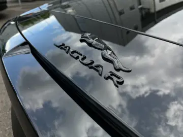 JAGUAR F-Type P450 AWD Ed. 75 Performance Sitz  Toterwi