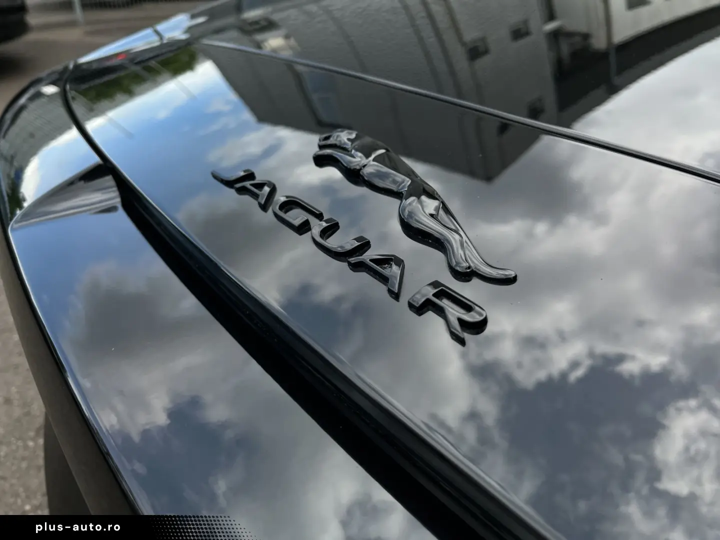 JAGUAR F-Type P450 AWD Ed. 75 Performance Sitz  Toterwi