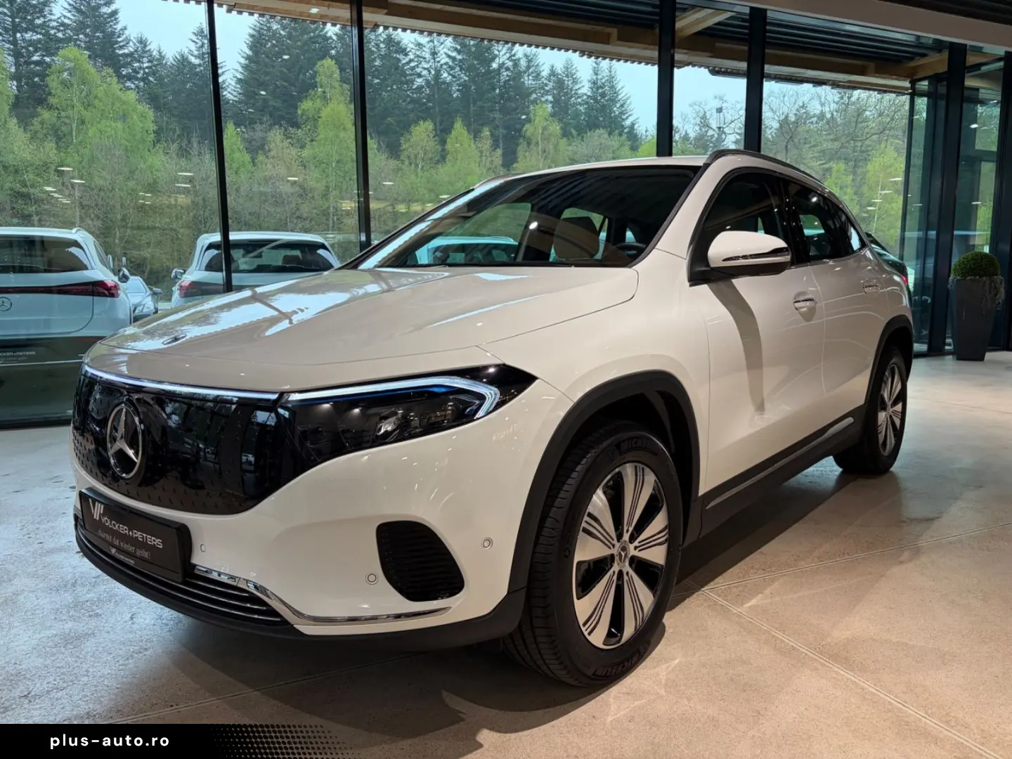 MERCEDES-BENZ EQA 250 PROG FAHRASSI 360 KEYLESS AHK LED