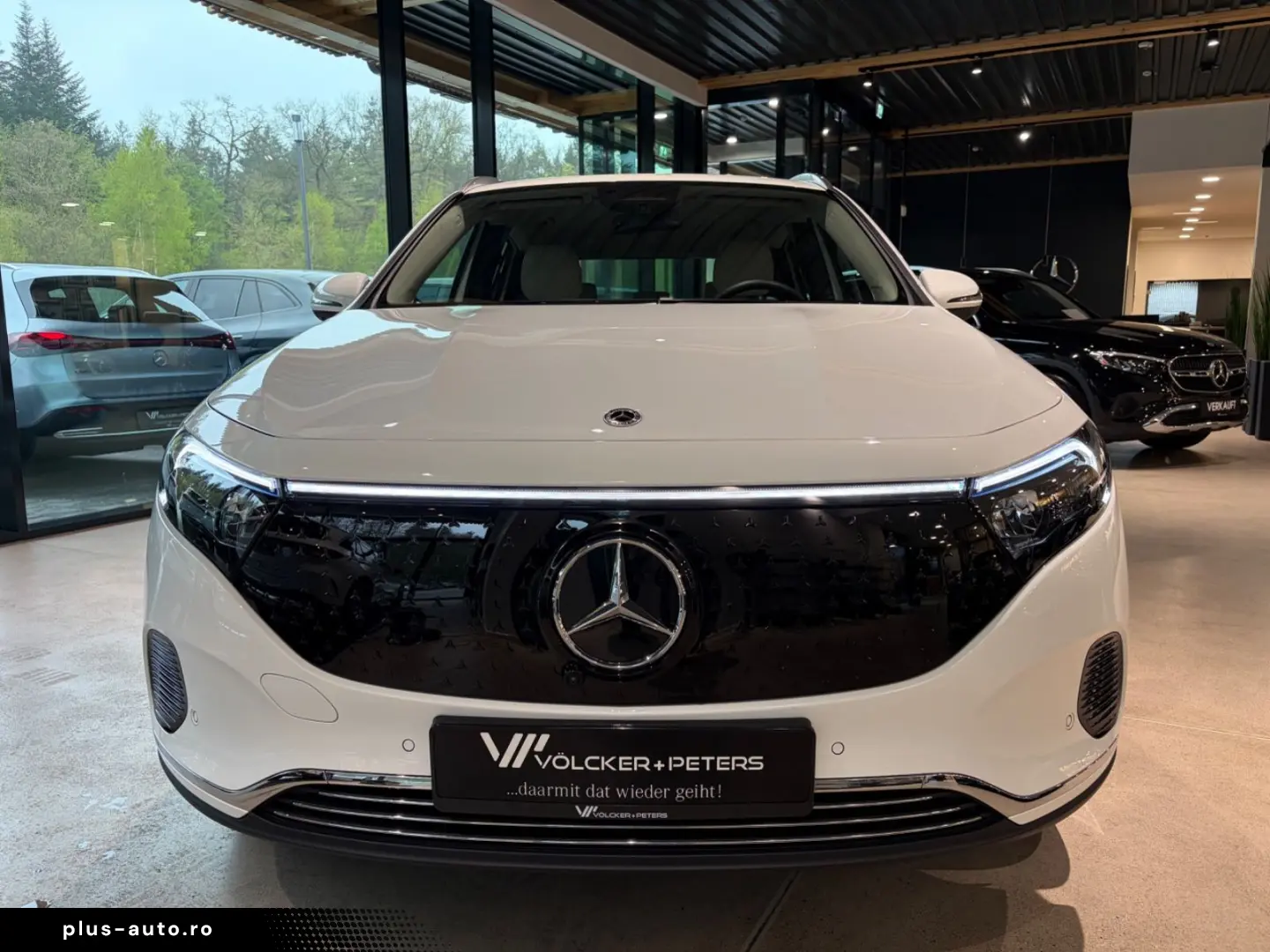MERCEDES-BENZ EQA 250 PROG FAHRASSI 360 KEYLESS AHK LED