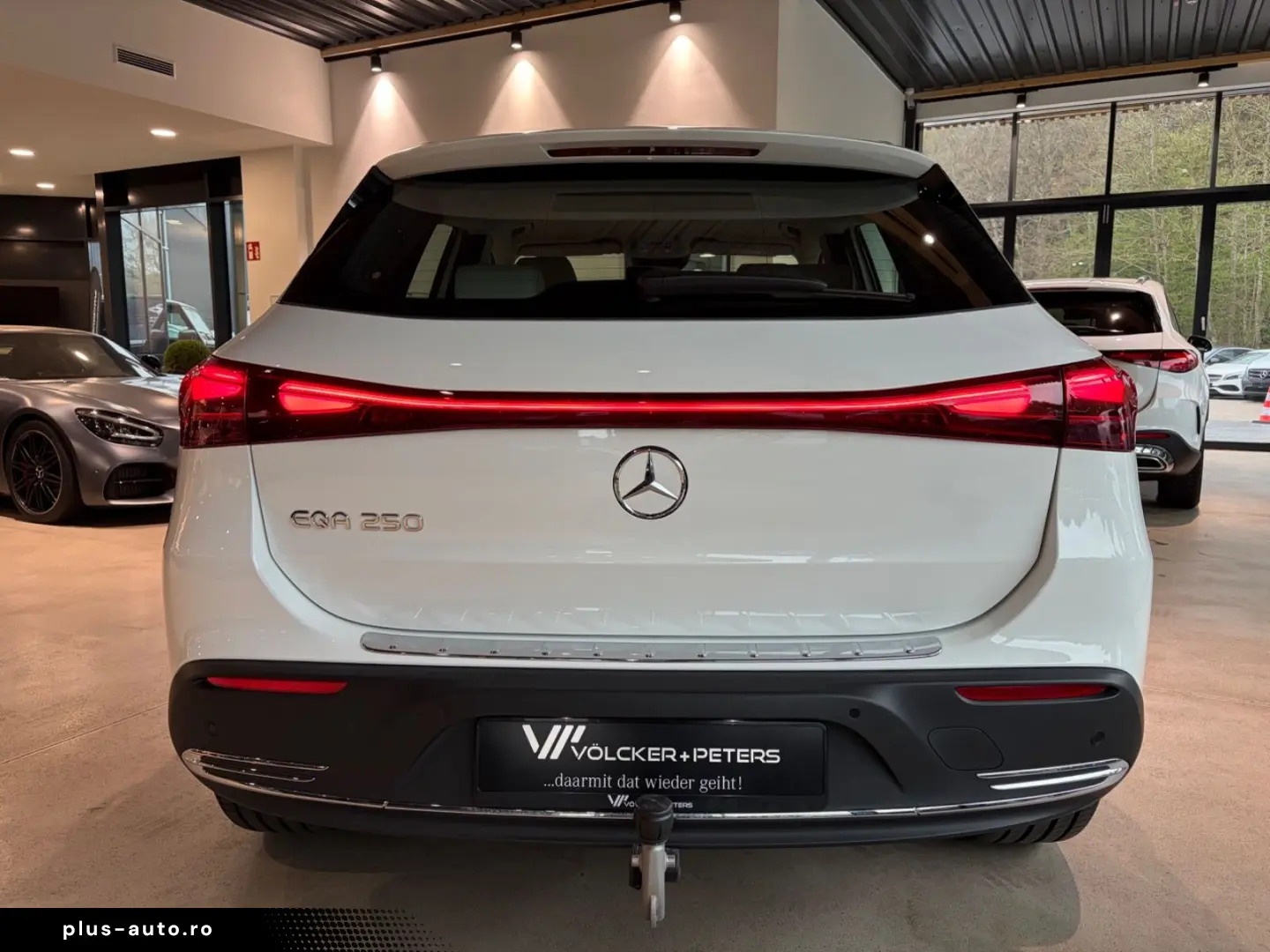 MERCEDES-BENZ EQA 250 PROG FAHRASSI 360 KEYLESS AHK LED