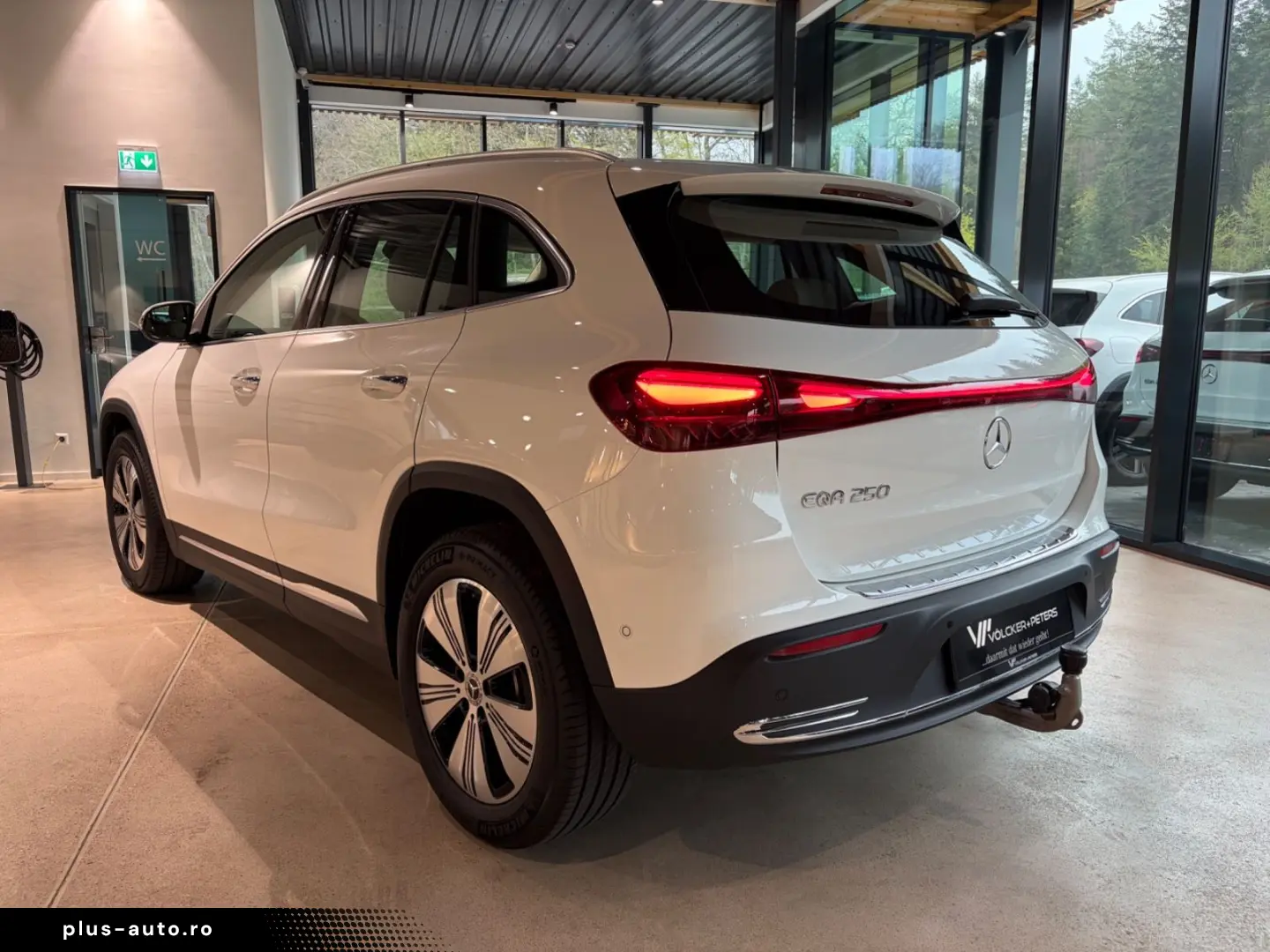 MERCEDES-BENZ EQA 250 PROG FAHRASSI 360 KEYLESS AHK LED