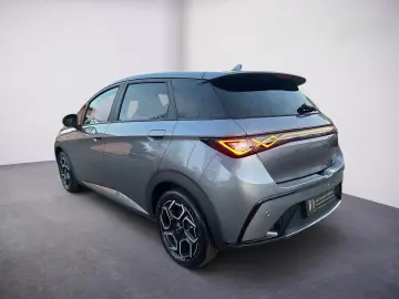 BYD DOLPHIN Dolphin Design Pano Shzg 360