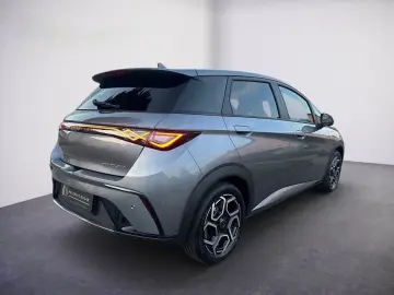 BYD DOLPHIN Dolphin Design Pano Shzg 360