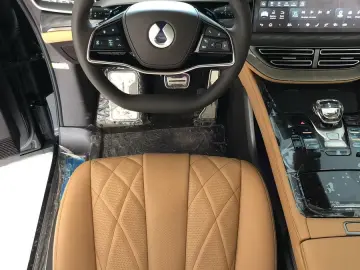 BYD Other  DENZA D9