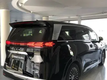BYD Other  DENZA D9