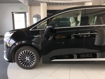 BYD Other  DENZA D9