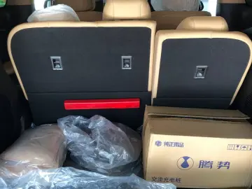 BYD Other  DENZA D9