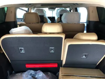BYD Other  DENZA D9