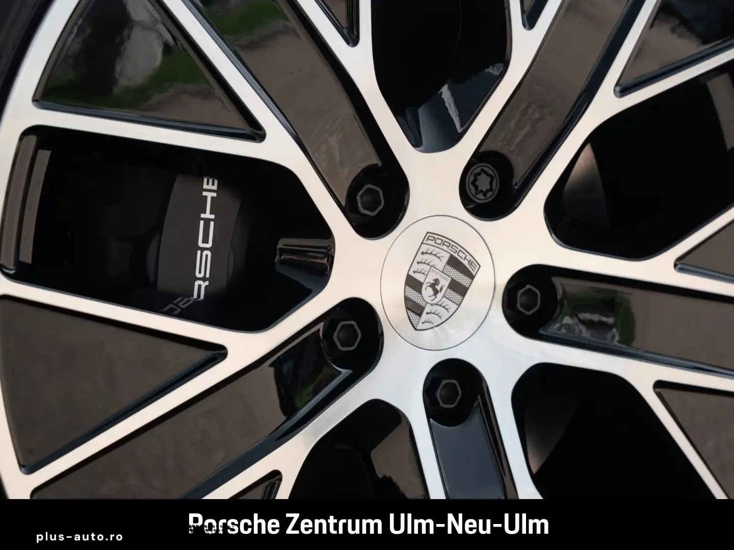 Porsche Taycan BOSE Panoramadach LED-Matrix Panoramadach