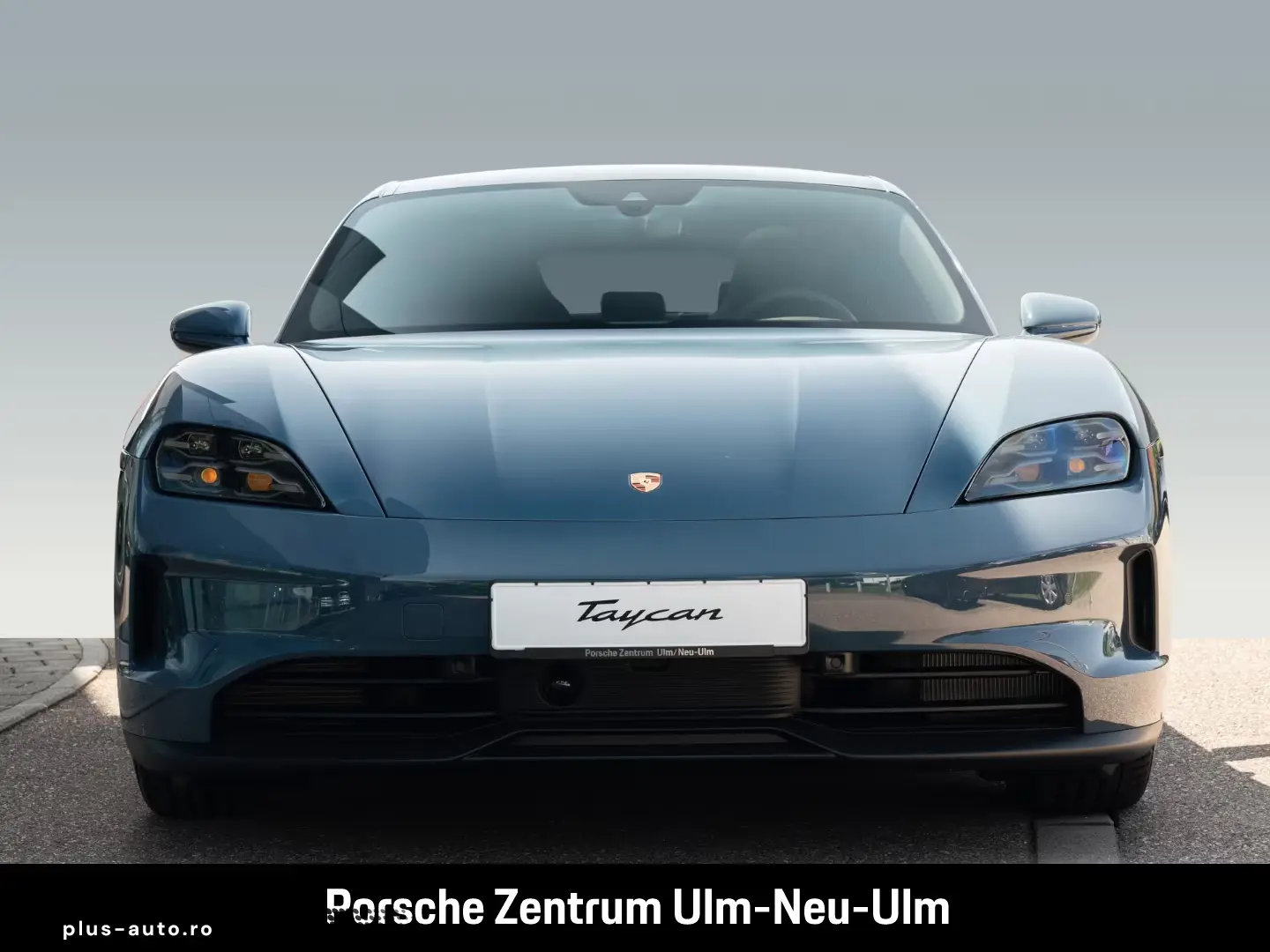 Porsche Taycan BOSE Panoramadach LED-Matrix Panoramadach