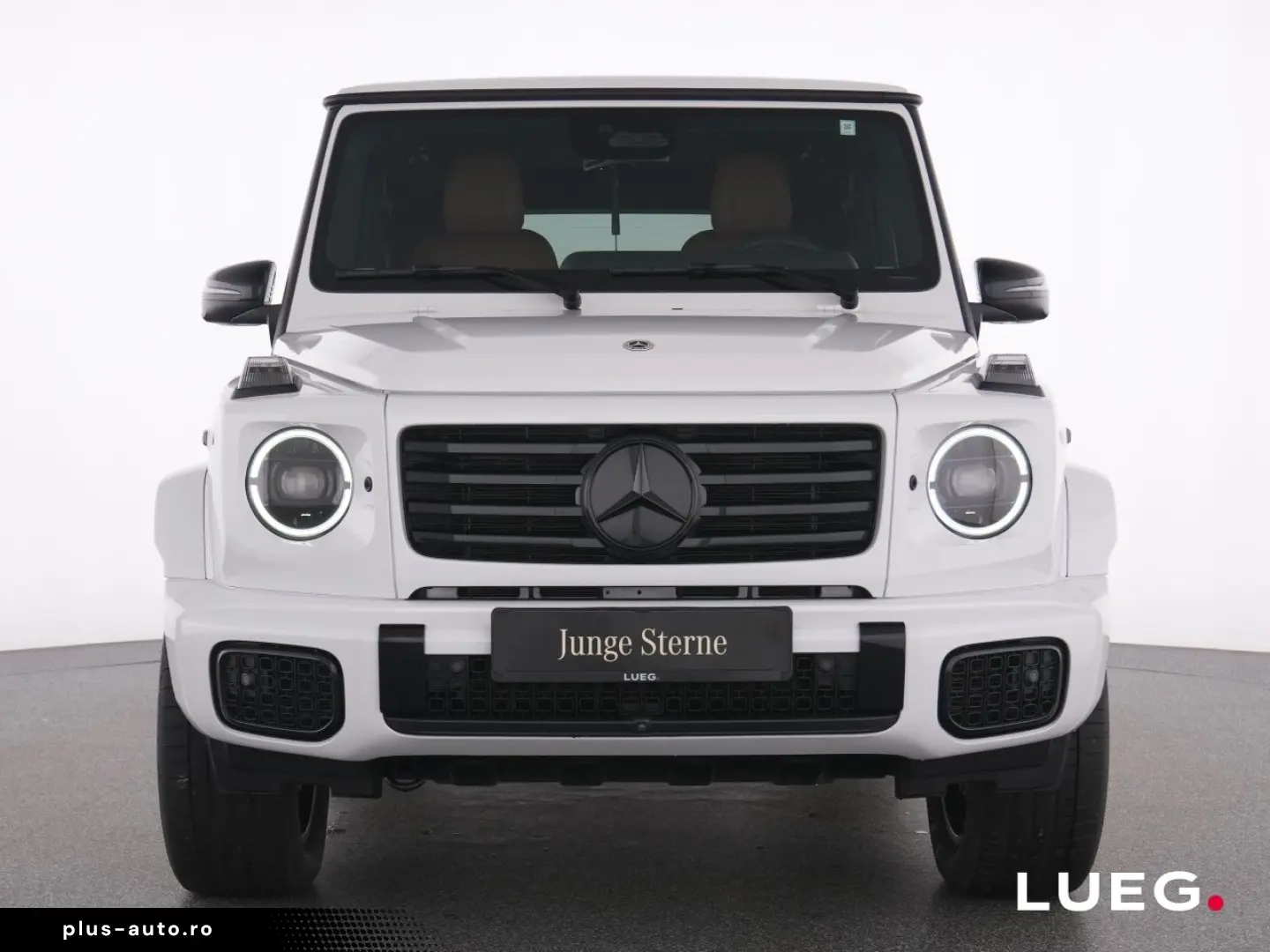 MERCEDES-BENZ G 450 d AMG SHD Burm MBeam Sthzg AHK Night 360