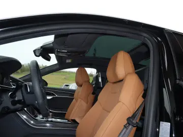 Audi A8 60 TFSIe lang exclusive 2xS-Line