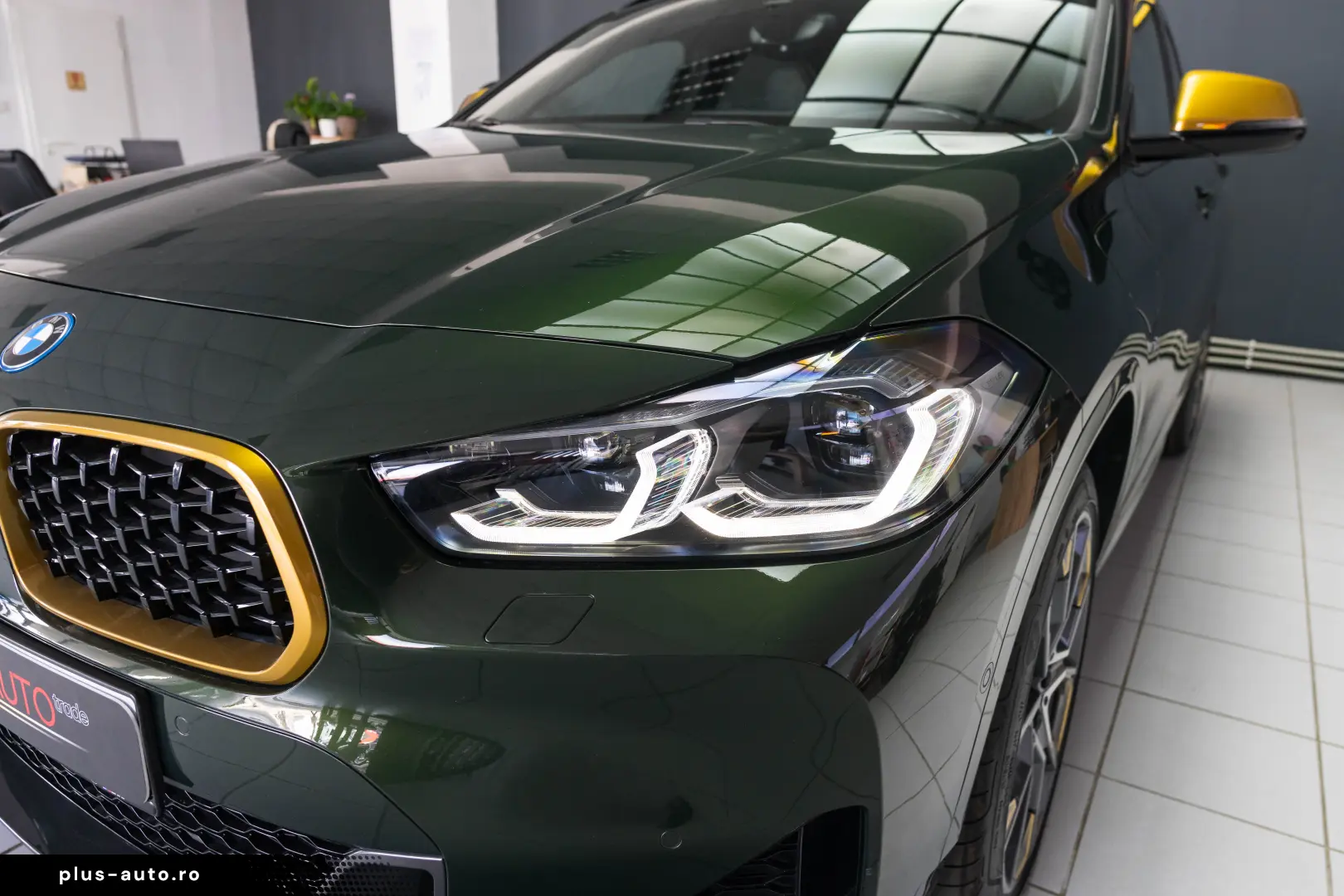 BMW X2 25E MODEL EDITION GOLDPLAY