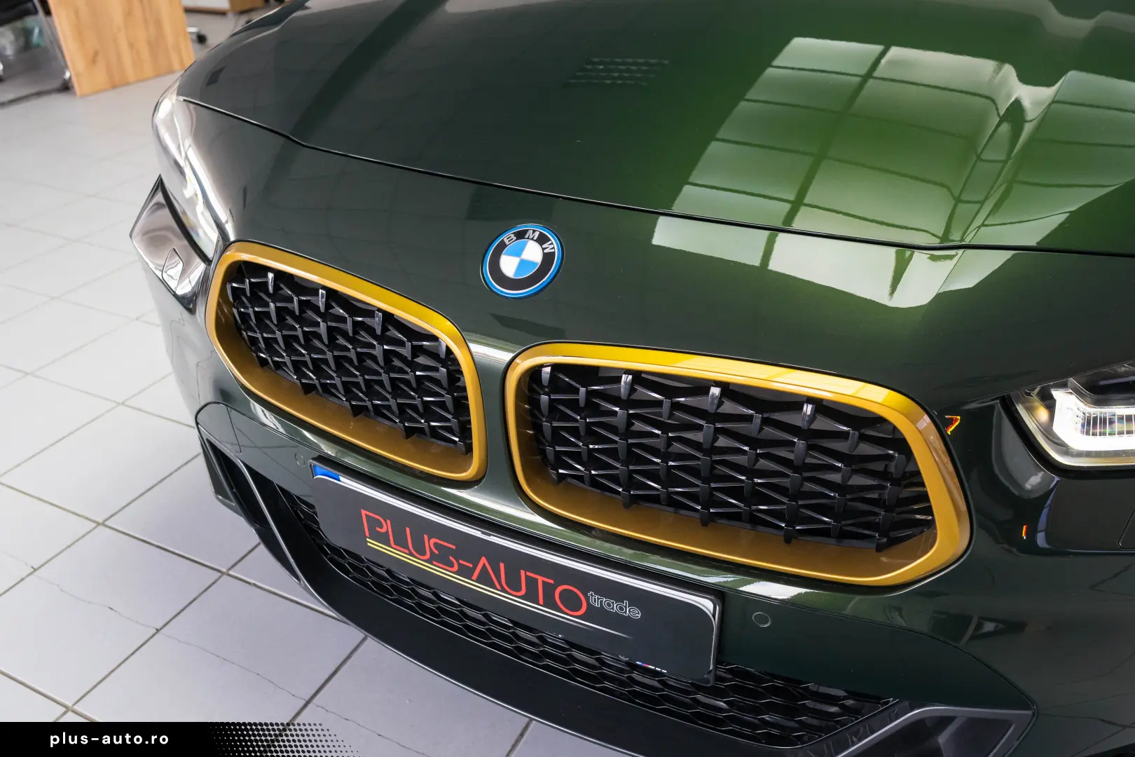 BMW X2 25E MODEL EDITION GOLDPLAY