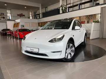 TESLA Model Y AWD Long Range Dual Motor Panorama LED