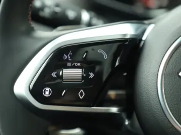 JAGUAR F-Pace F-PACE SVR 575 Edition AWD AHK PANO