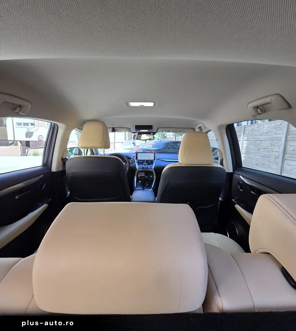 Lexus NX 300