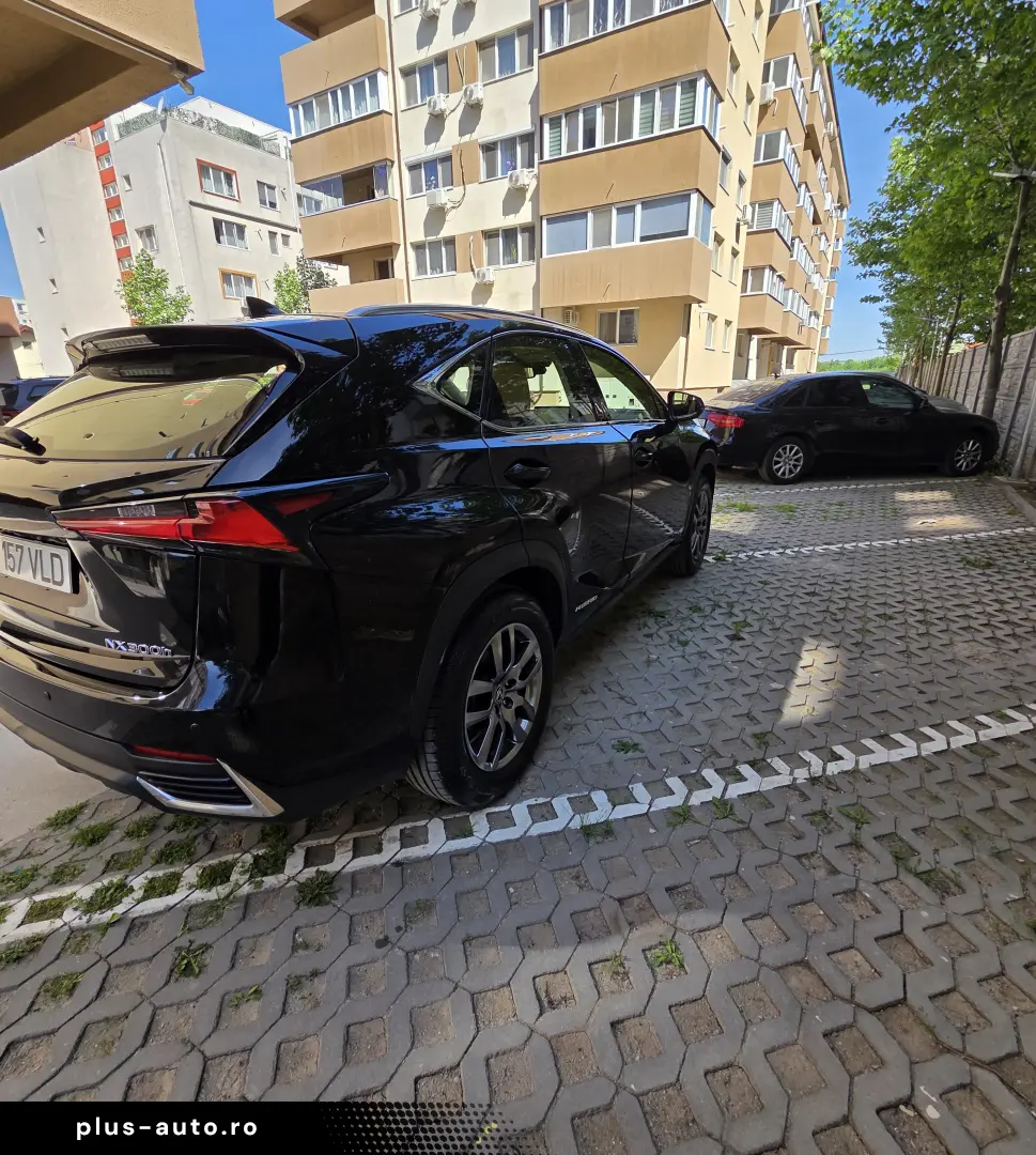 Lexus NX 300