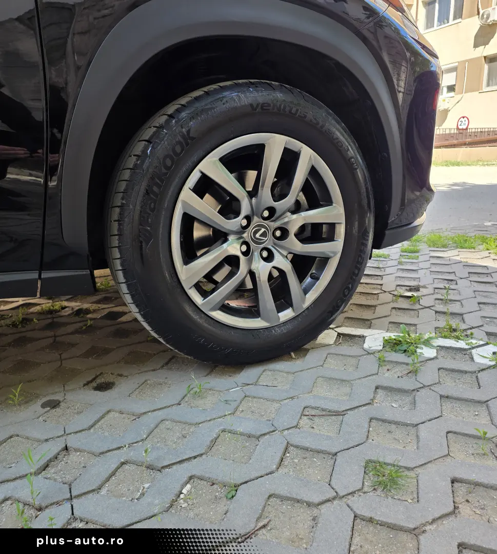 Lexus NX 300