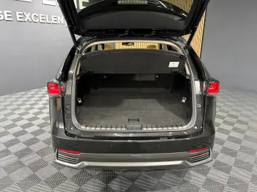 Lexus NX 300H