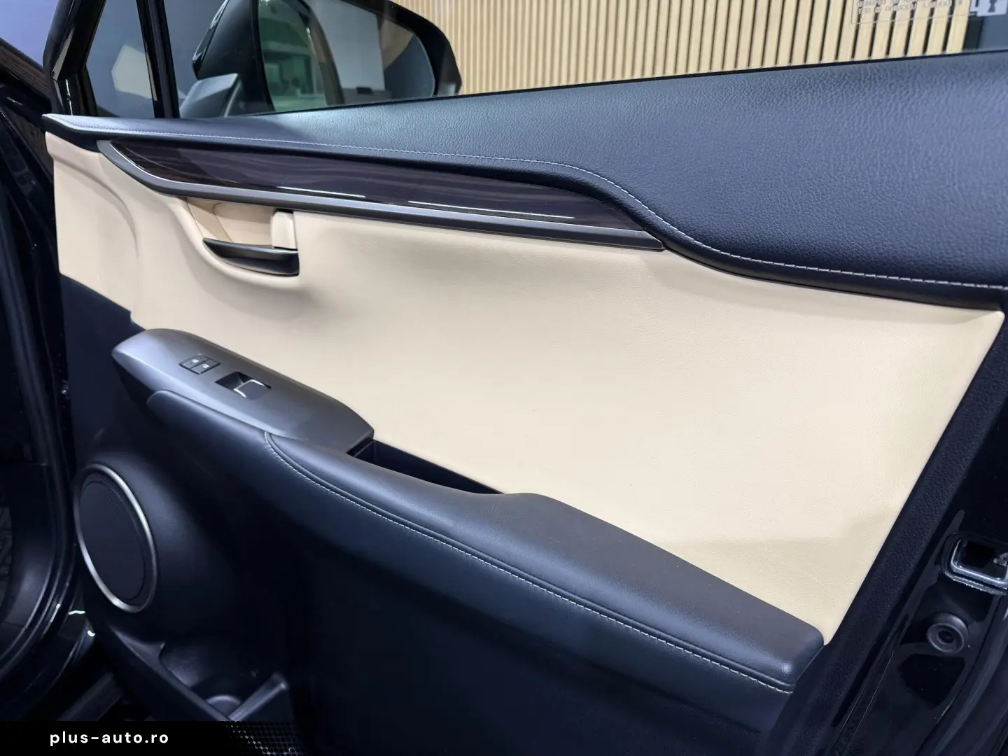 Lexus NX 300H